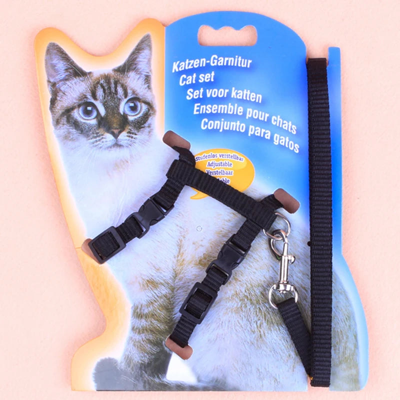 Hot-selling cat chest strap