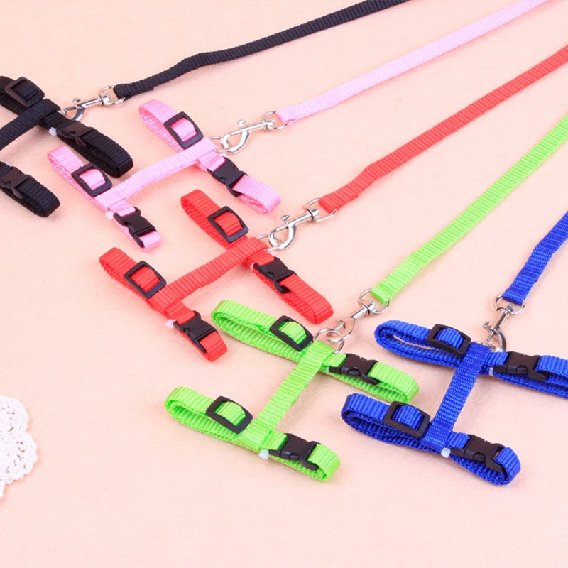 Hot-selling cat chest strap
